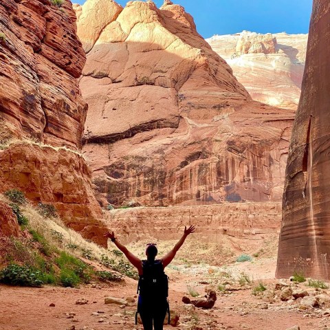 a man standing in front of a canyon