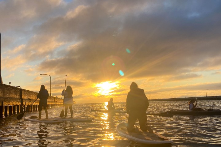 paddleboard group on the water