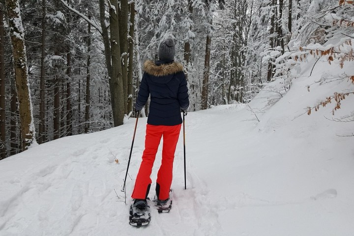 Person in red pants snowshoeing through a snowy forest.
