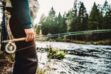 Person holding a fishing rod by a forest riverbank.